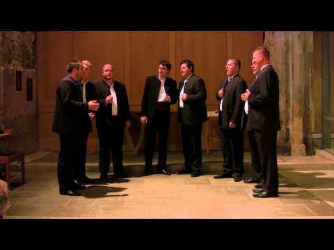 Klapa Kožino London Concert - Cvit od mrče