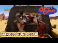 Oscar Çöllerde Manolo Nun Dostu Minika