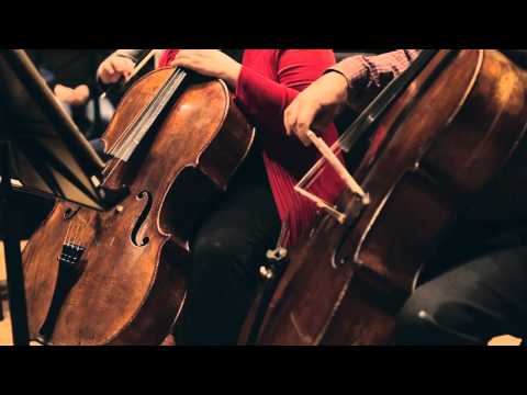 Absolute Motion Video video.