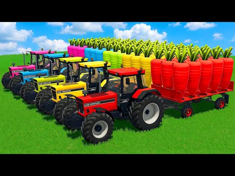 LOAD AND TRANSPORT GIANT CARROTS WITH CASE TRACTORS - Farming Simulator 25 🥕