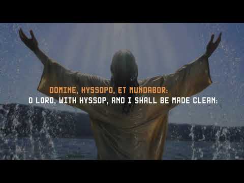 Gregorian Chant - Asperges Me Domine - Meditation Healing Music