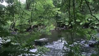 Relaxing River Sounds - 1 Hour - ASMR / Relaxation / Sleep Sounds