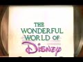 CBS Disney Commercials Bumpers Dec 1991 VOL 23