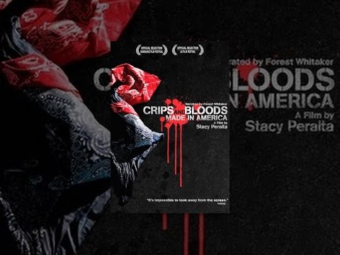 Crip history essay image