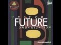 United Future Organization - Vinyl Junkie (1993)