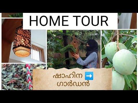 My home tour ➡️ Shahina➡️ Garden