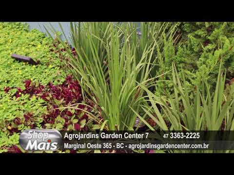 Agrojardins Garden Center 18-06-18 - Shop Mais