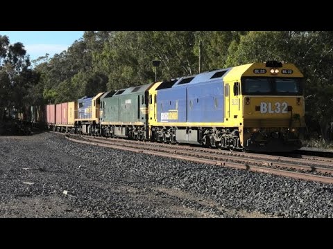 BL32-G539-X48 on 7901V at Dunolly.   04-12-21.