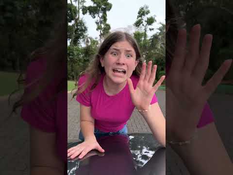 Cuida siempre de tu gatito 🐱💛