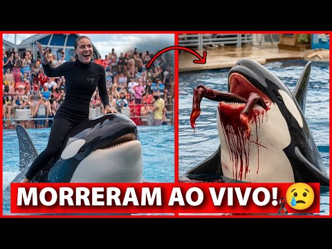 16 FAMOSOS QUE MORRERAM AO VIVO NA FRENTE DO PÚBLICO E VOCÊ NÃO SABIA!