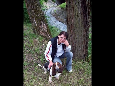 Tóth Eszter /EVELINO/ - festőművész alkotásai….