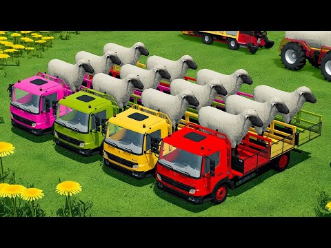 LOAD AND TRANSPORT SHEEPS & COWS WITH RIGITRAC MINI TRACTORS - Farming Simulator 22