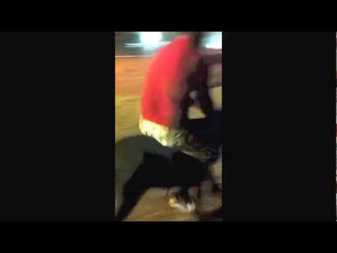 Eselrennen in Ardali (Sardegna)