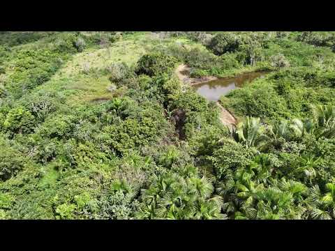 FAZENA AD ARAGUANA-MA