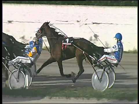 Trotto 12/01/2016 - 2° corsa