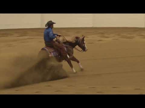 191002 Congress Open Futurity Casey Deary on AmericasNextTopGun