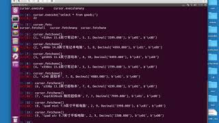 Download the video "026 python操作sql：查询数据"