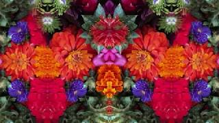 You've Been a Good Old Wagon (by Dave Van Ronk live at Indiana University '64)