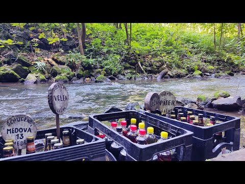 Mysterious forest bar near Kras - Forest bar (Adamov)