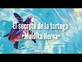El secreto de las tortugas//Maldita Nerea •LETRA•