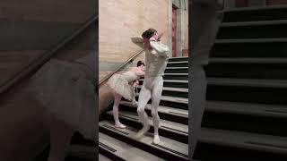 Quitándole el ruido a las zapatillas 🩰✨ #ballet #balletdancer #pointeshoes #cosasquenosabias