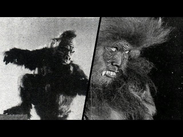 The lost Japanese era of Kong