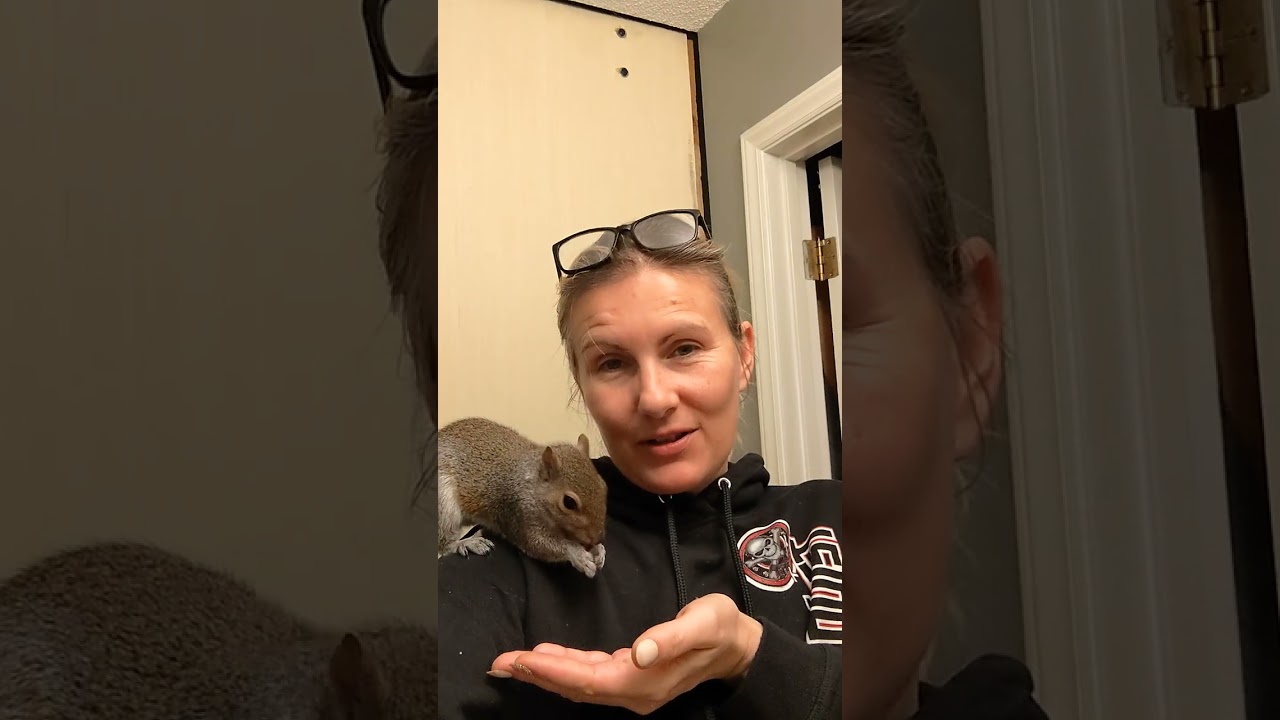 In preparation for Squirrel Appreciation Day (21 Jan.), Kat and Bonnie would love to hear from YOU!