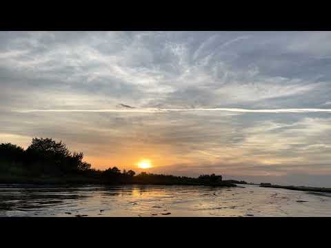 Day 126~May 6~Ruth 2:1-4:22, John 4:43-54, Psalm 105:16-36, Proverbs 14:26-27 #theoneyearbible