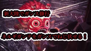 [MHWIB実況]ガンスでネギをねじ伏せる！