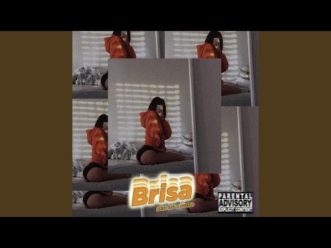 Brisa