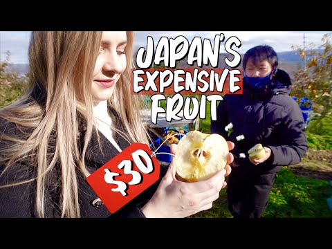 Why Japanese Fruit is SO Expensive 🍎