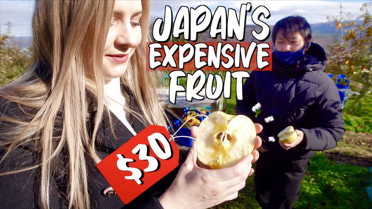 Why Japanese Fruit is SO Expensive