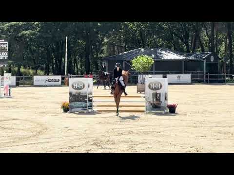 Showvideo 1