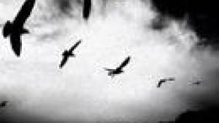 Etro Anime - Let It Go /MySpace/