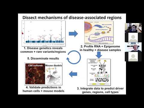 Manolis Kellis on Single-Cell Dissection of Disease Circuitry on January 21, 2021