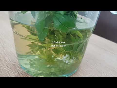 Maibowle Waldmeisterbowle