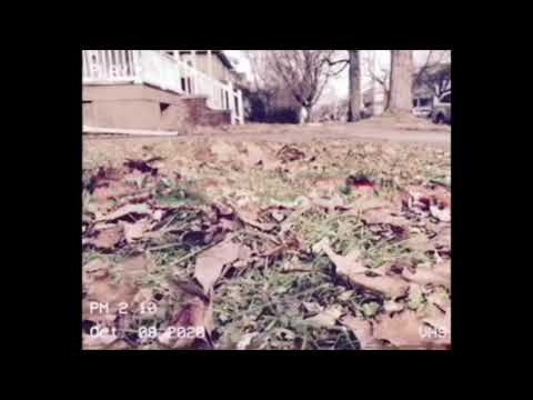 (free) midwest emo, skele type beat "polaroid" - prod. Jolst