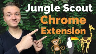 Das Tool, um die 10.000€ Nischen zu finden - Jungle Scout Chrome Extension Tutorial