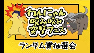 わんにゃん咬み咬み突撃フェス　ランダム賞抽選会