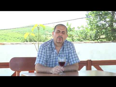 Ajde razbole se mojto libe - Pavle Vitanov