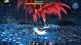 테섭 검벨 레지나