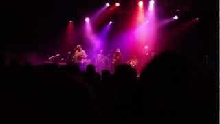 The Bees: Listening Man: Live at Green Man 2012