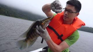 preview picture of video 'Pesca en la Laguna de Hule, desde otro angulo'