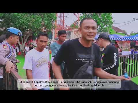 Pilkada Sukses, Polres Way Kanan Gelar Cooling System Melalui Lomba Burung Kicau Kapolres Cup lll