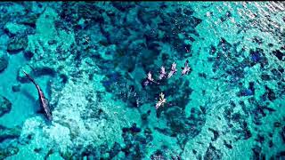 Download lagu Avatar The way of Water Ambience [ Songcord   Ocean waves ] mp3