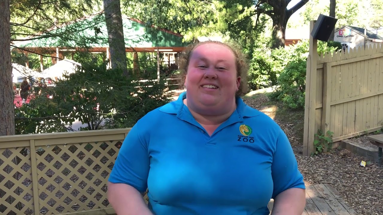Promotional video thumbnail 4 for Entertainment That’s Pure Magic & Mind Reading by Steve Wallach