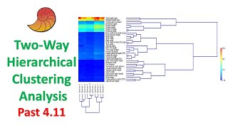 Download the video "Two-Way Hierarchical Clustering Analysis | Multivariate Analysis | Past 4.11"