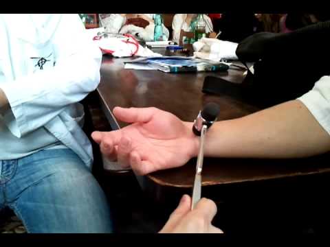 Oravcov reflex (Oravec's reflex)