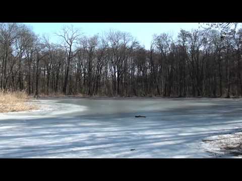 Fruehlingserwachen Schlosspark Dieskau 2011