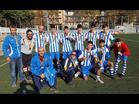 Final del Playoff LNF7 2020 - Disport vs Amdda Málaga